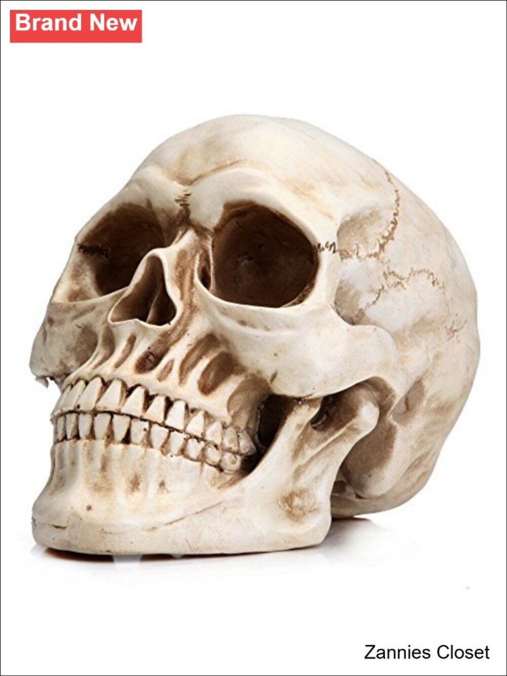 👻 Life Size Resin Skull Head Model Gothic Home Decor Statue